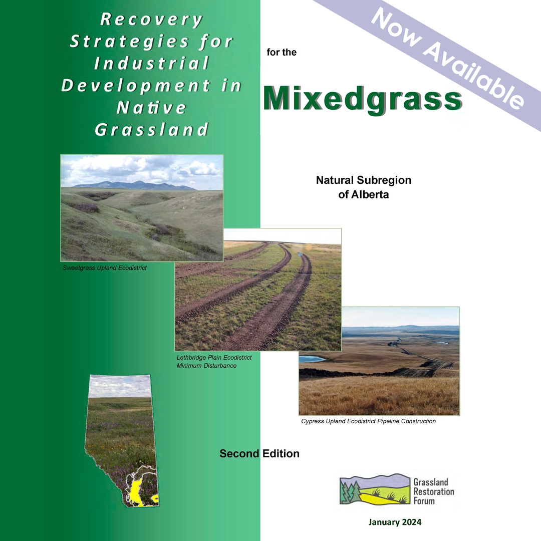 Recovery-Strategies-MG-2nd-Edition-LAST-LOOKJan-30-2024Reduced_Page_001